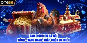 Các Giống Gà Đá Nổi Tiếng - Vang Danh, Khắp Chốn Ba Miền