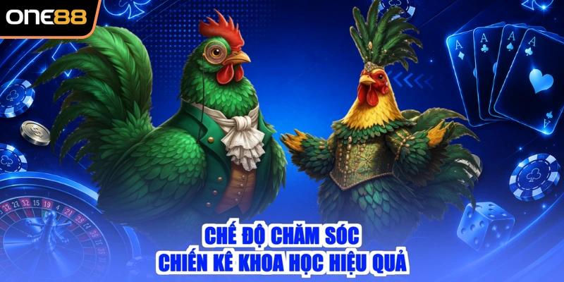 Chế độ chăm sóc chiến kê khoa học hiệu quả